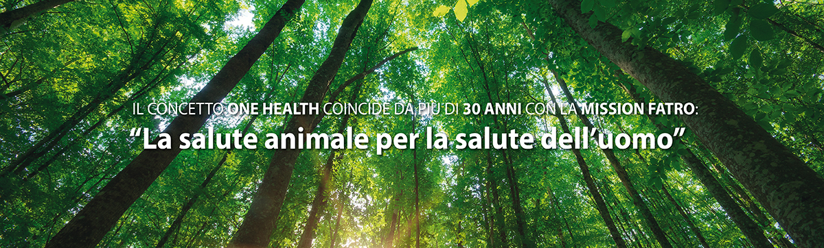One health Eco health